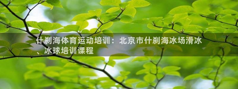 耀世集团是干嘛的：什刹海体育运动培训：北京市什刹海冰