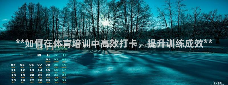 耀世国际平台正规吗可靠吗可信吗：**如何在体育培训中