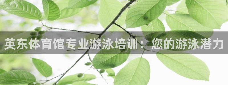 耀世娱乐登陆官网入口：英东体育馆专业游泳培训：您的游