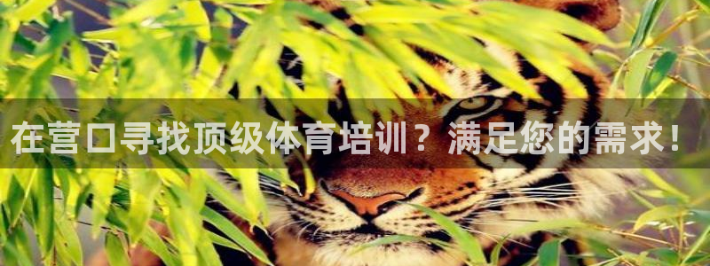 耀世娱乐注册官网账号：在营口寻找顶级体育培训？满足您